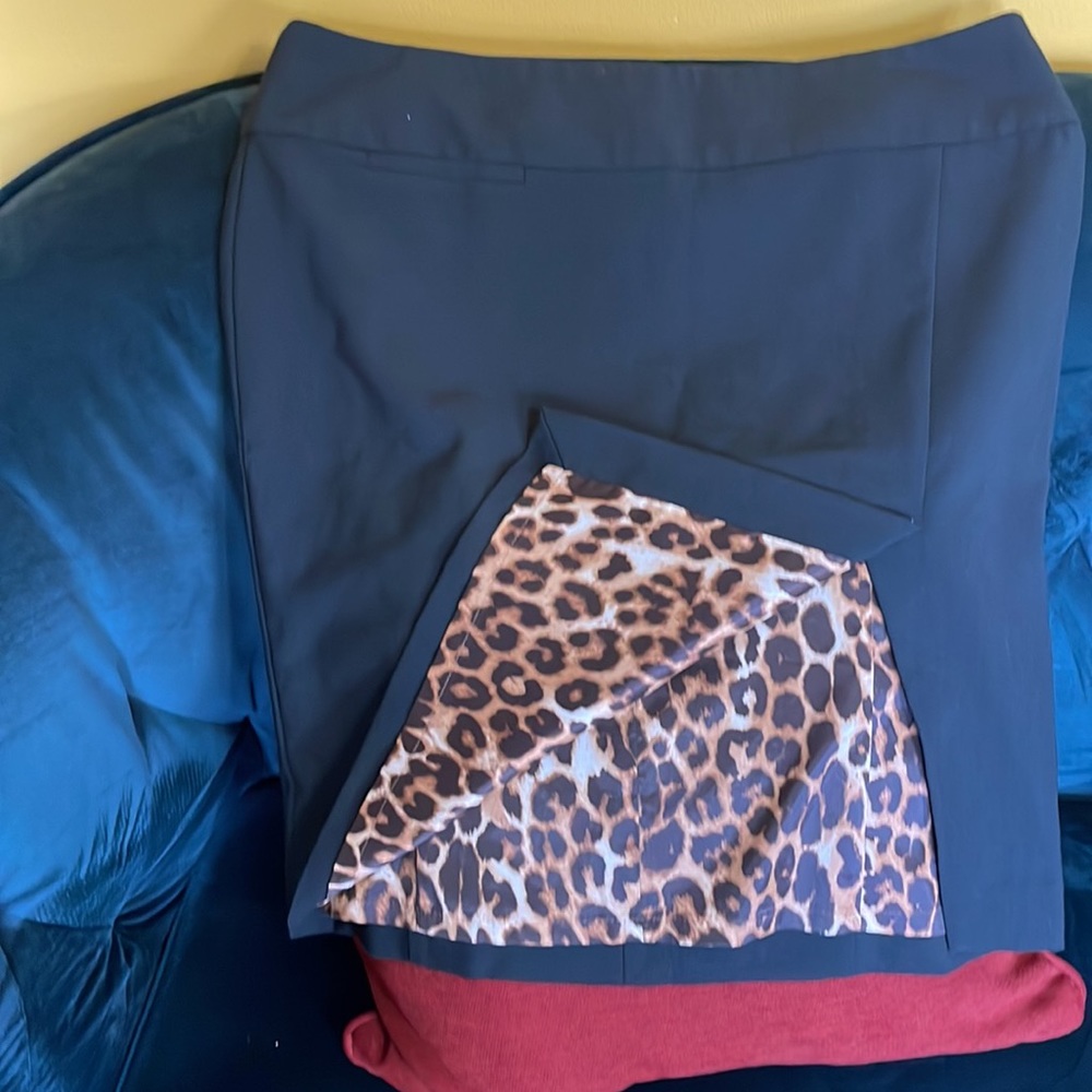 Express Skirt - Picture 2 of 7